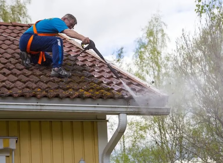 Roof Cleaning Los Angeles