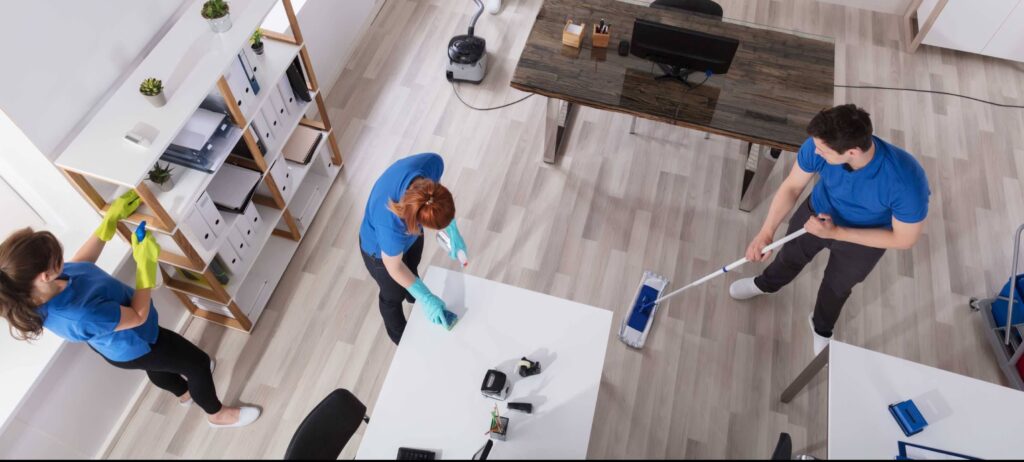 Property Cleanout services