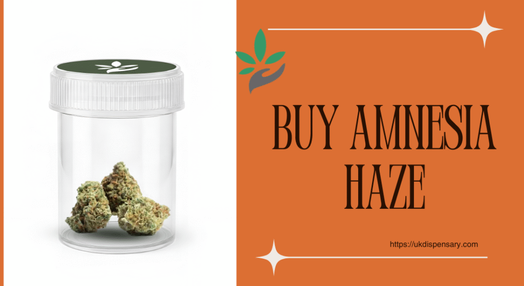 Buy Amnesia Haze